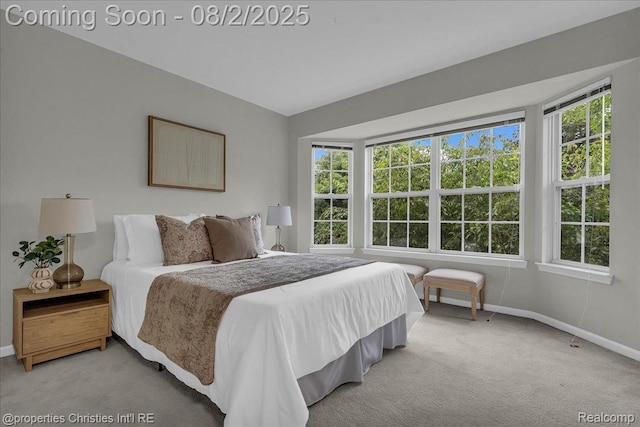5963 James Head Ct, West Bloomfield, MI 48324 - photo 19