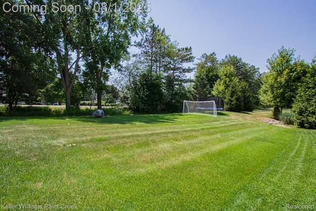 1183 Fountain View Ln, Oxford, MI 48371 - photo 38