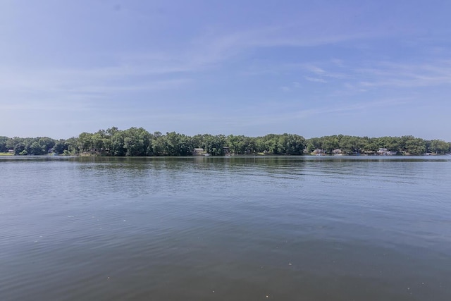642 N Kalamazoo St, Paw Paw, MI 49079 - photo 17