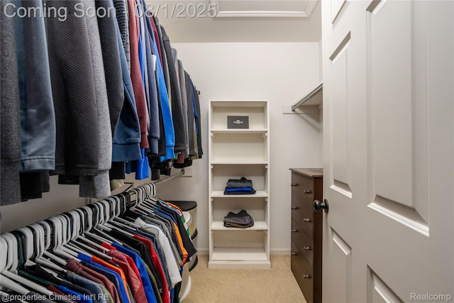 47320 Autumn Park Ct, Novi, MI 48374 - photo 29