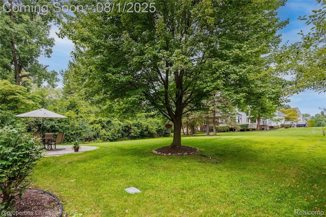 47320 Autumn Park Ct, Novi, MI 48374 - photo 53