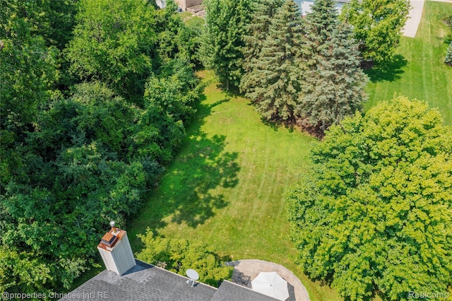 47320 Autumn Park Ct, Novi, MI 48374 - photo 54