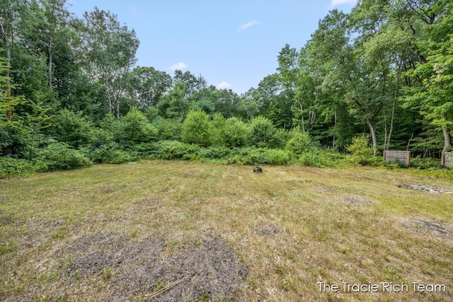 10603 Paw Paw Ave, Grant, MI 49327 - photo 8