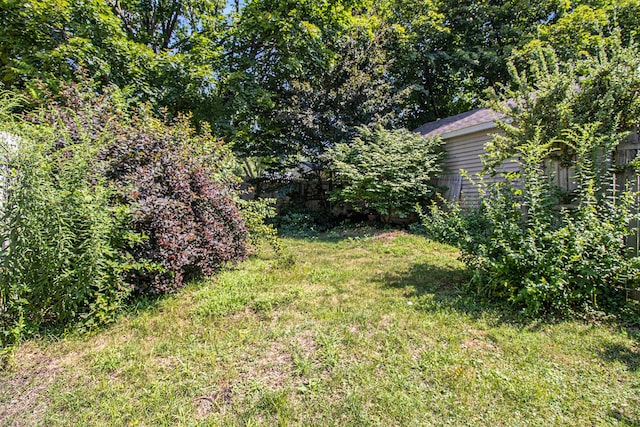 3330 S Rose St, Kalamazoo, MI 49001 - photo 18