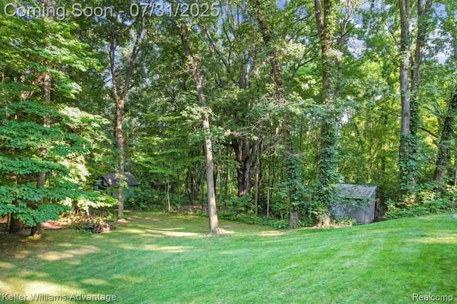 3535 Westphal Rd, Howell, MI 48843 - photo 42