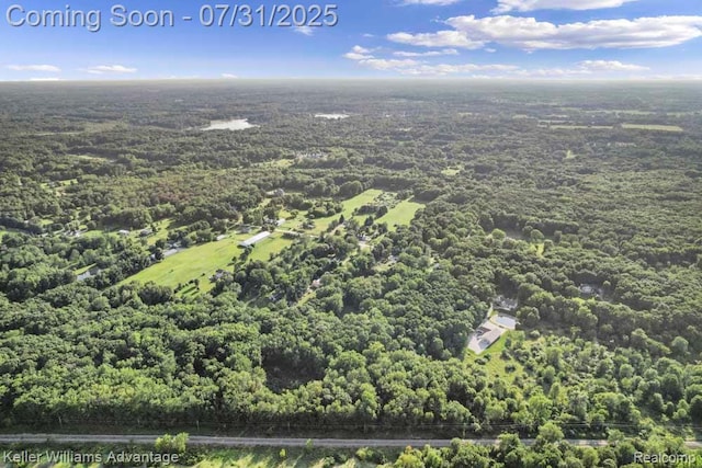 3535 Westphal Rd, Howell, MI 48843 - photo 47