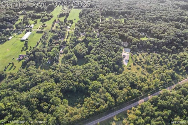 3535 Westphal Rd, Howell, MI 48843 - photo 45