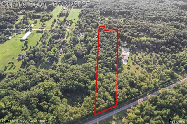 3535 Westphal Rd, Howell, MI 48843 - photo 46