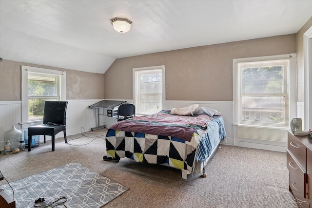 415 S 9th St, Niles, MI 49120 - photo 11