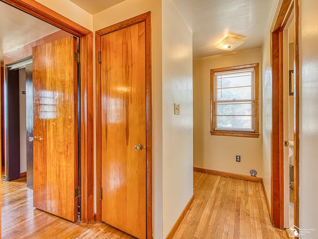 415 E Noble Ave, Monroe, MI 48162 - photo 18