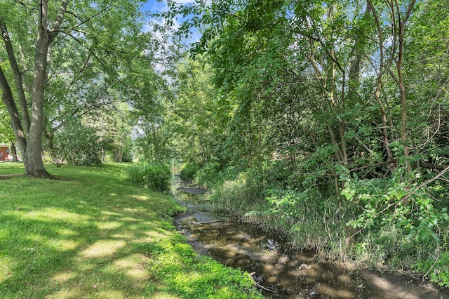 44182 Leeann Ln, Canton, MI 48187 - photo 41