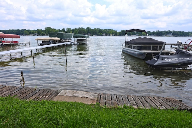 63166 Lakeshore Dr, Dowagiac, MI 49047 - photo 2