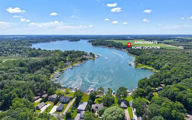 63166 Lakeshore Dr, Dowagiac, MI 49047 - photo 22