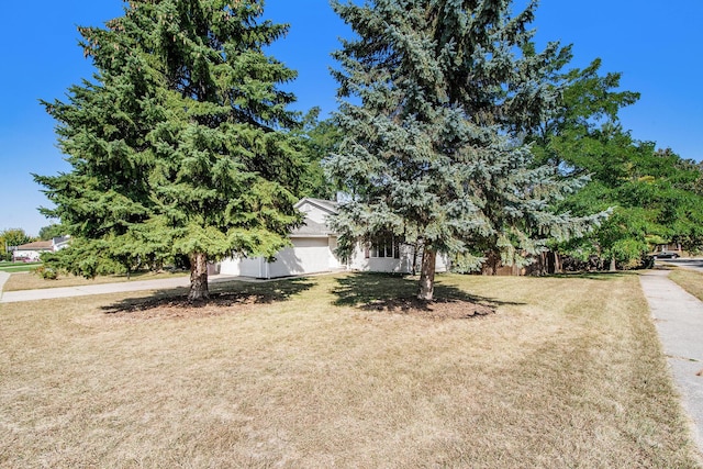 1541 Gunnink Dr SE, Kentwood, MI 49508 - photo 25