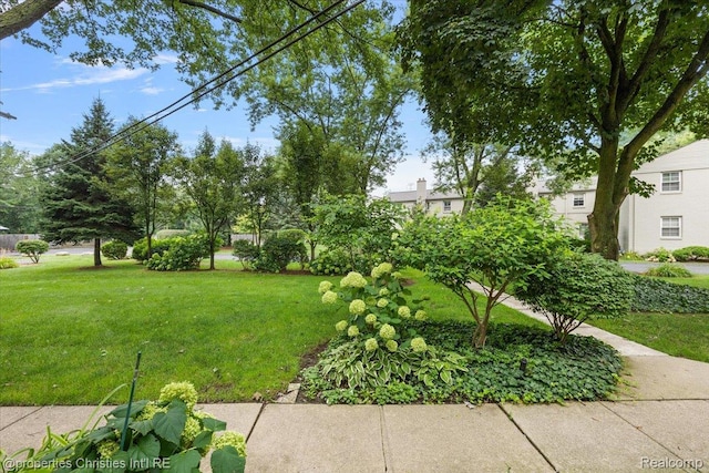 1814 Graefield Rd, Birmingham, MI 48009 - photo 27