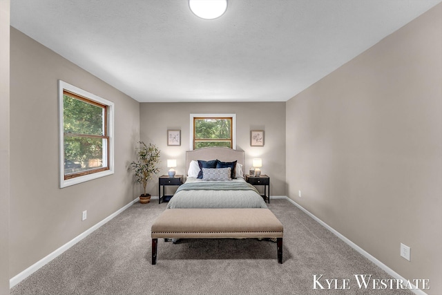 101 60th St SE, Grand Rapids, MI 49548 - photo 17