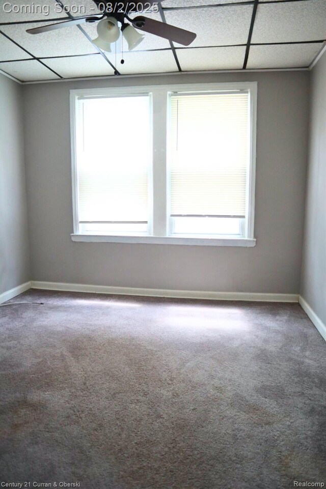 24819 Union St, Dearborn, MI 48124 - photo 20