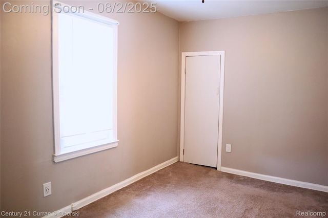 24819 Union St, Dearborn, MI 48124 - photo 16