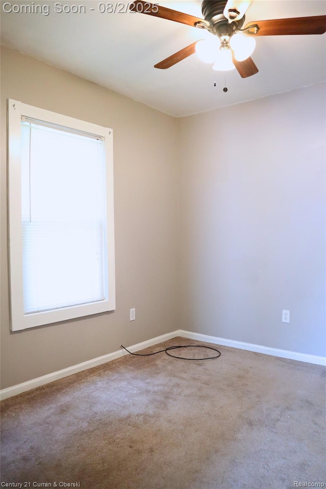 24819 Union St, Dearborn, MI 48124 - photo 10