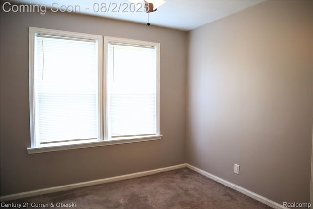 24819 Union St, Dearborn, MI 48124 - photo 14