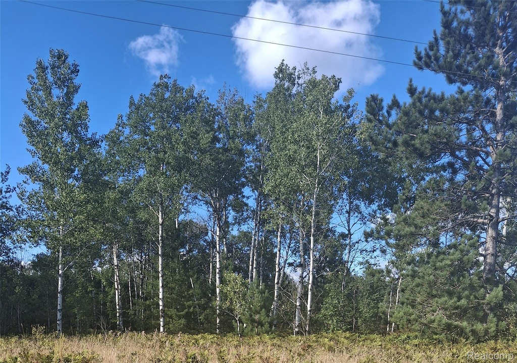 LOT514 Pencil Lake Rd, Mancelona, MI 49730 - photo 3