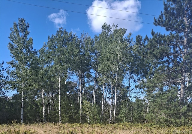 LOT514 Pencil Lake Rd, Mancelona, MI 49730 - photo 3