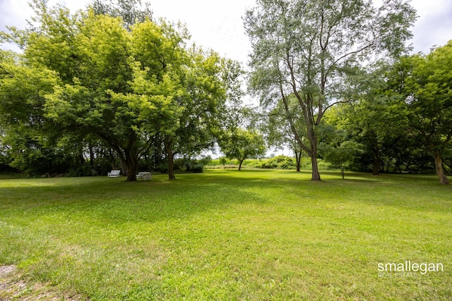 3770 Bender Rd, Middleville, MI 49333 - photo 49