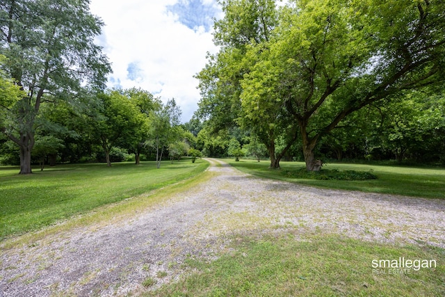 3770 Bender Rd, Middleville, MI 49333 - photo 50