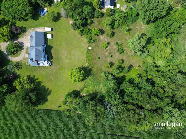 3770 Bender Rd, Middleville, MI 49333 - photo 51