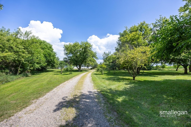 3770 Bender Rd, Middleville, MI 49333 - photo 53