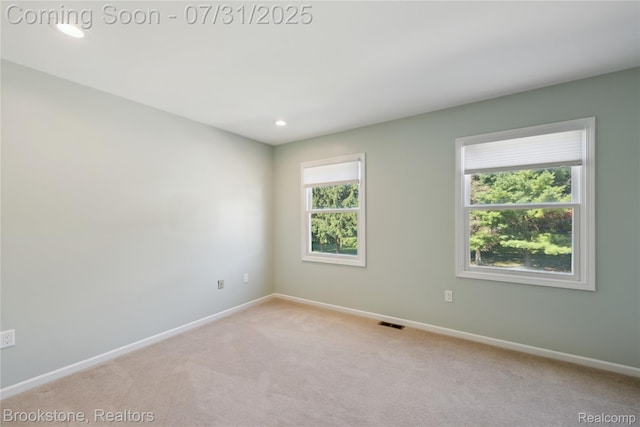 857 Quatro Ln, Addison, MI 48367 - photo 17