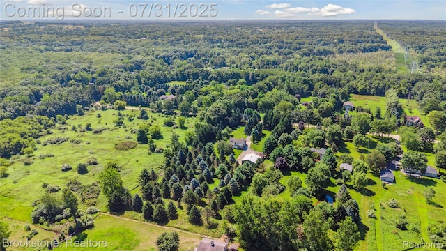 857 Quatro Ln, Addison, MI 48367 - photo 50