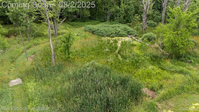 20403 Robinway Dr, Clinton Township, MI 48036 - photo 49