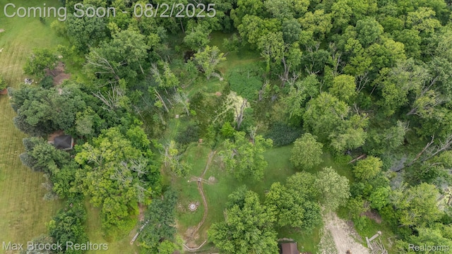 20403 Robinway Dr, Clinton Township, MI 48036 - photo 48