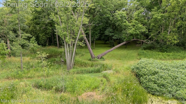 20403 Robinway Dr, Clinton Township, MI 48036 - photo 50