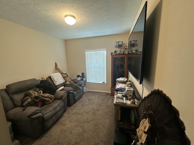 516 Cecil Dr, Concord, MI 49237 - photo 9