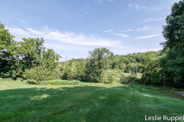 6505 Old Darby Trl NE, Ada, MI 49301 - photo 75