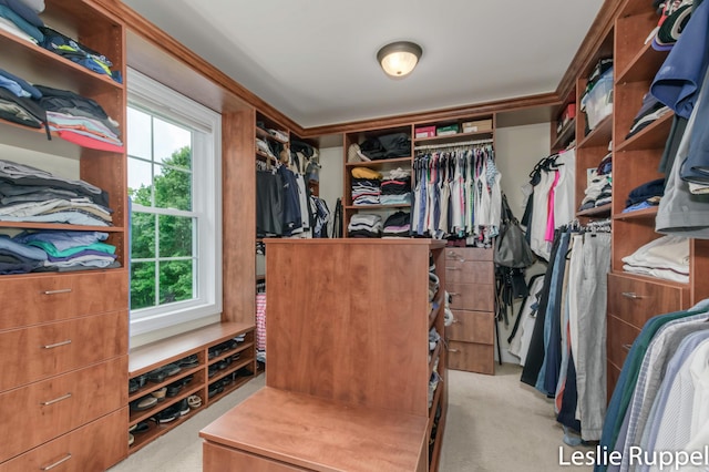 6505 Old Darby Trl NE, Ada, MI 49301 - photo 50
