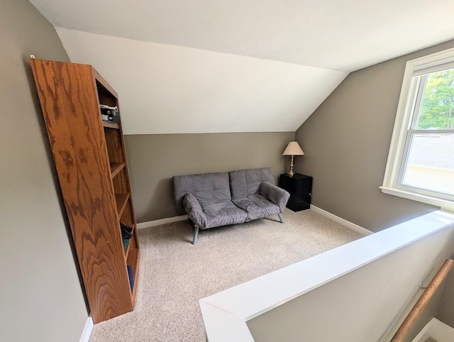 425 N Linden St, Marshall, MI 49068 - photo 21