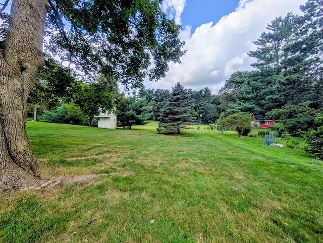 425 N Linden St, Marshall, MI 49068 - photo 28
