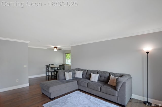 34900 Mercer, Fraser, MI 48026 - photo 3