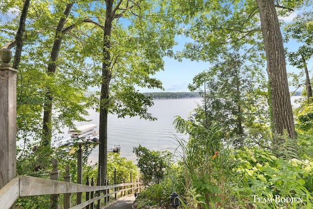 23129 Lakeview Ln, Pierson, MI 49339 - photo 5