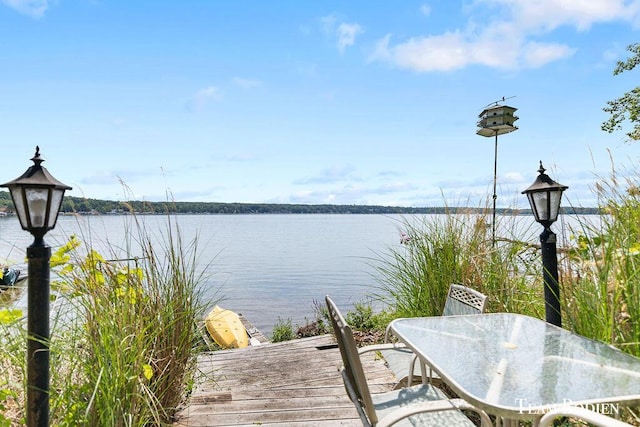 23129 Lakeview Ln, Pierson, MI 49339 - photo 6
