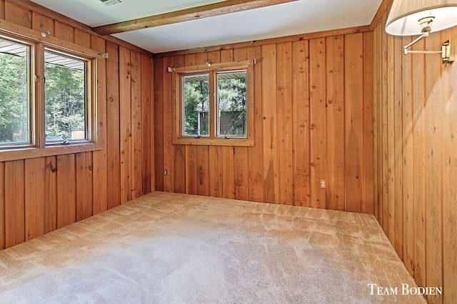 23129 Lakeview Ln, Pierson, MI 49339 - photo 25