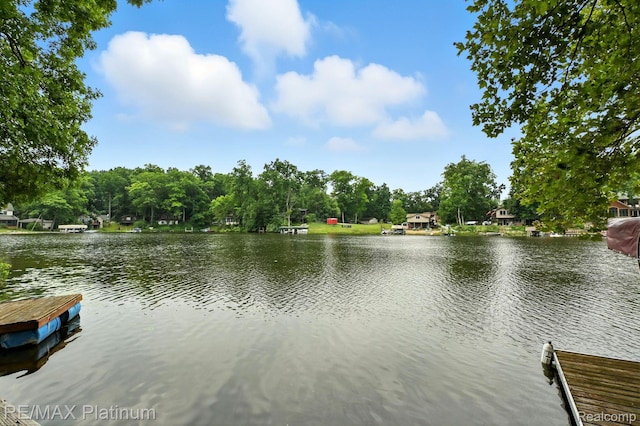 11662 Weiman Dr, Pinckney, MI 48169 - photo 31