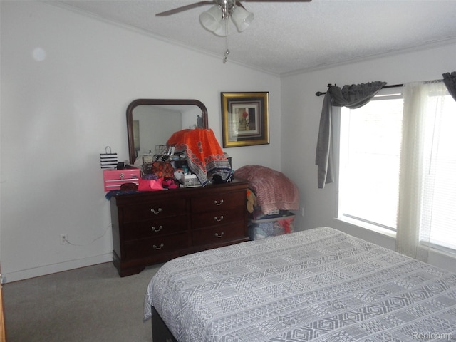 141 Concord, Adrian, MI 49221 - photo 9