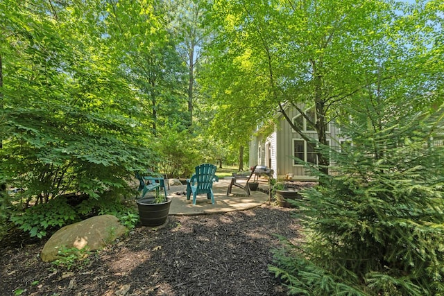 3464 Jeffrey Spur, Hamilton, MI 49419 - photo 43