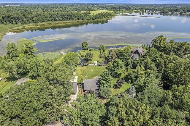 1341 Orchard Dr, Marshall, MI 49068 - photo 4