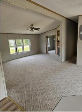82 Clover Trl, Wayland, MI 49348 - photo 6
