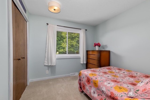 6501 Thornapple River Dr SE, Alto, MI 49302 - photo 11